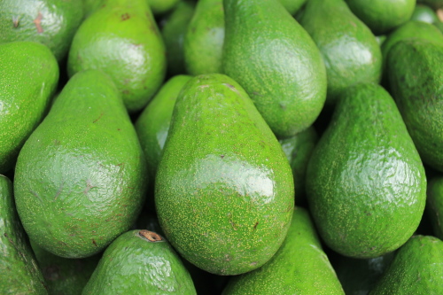 bulk avocado