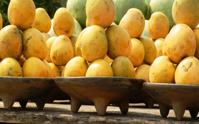 How to freeze and enjoy frozen mangoes